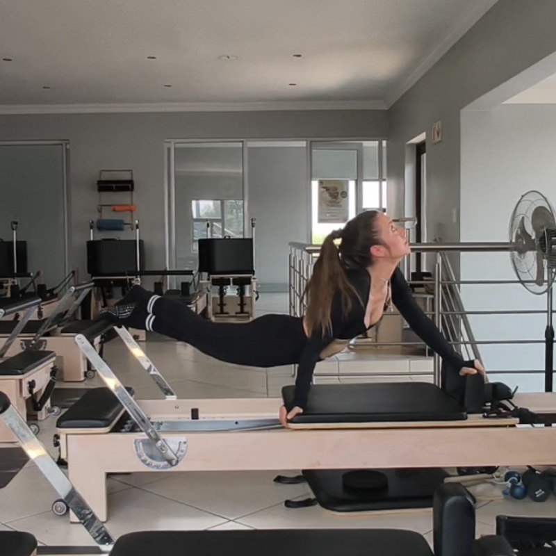 Reformer Pilates Johannesburg & Brackenhurst, Snake
